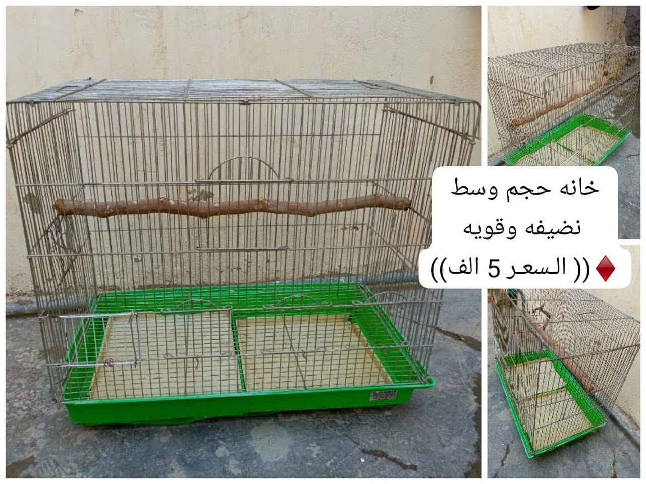 للبيع
الأسعار ثابته 
شراي اتصل إذا مو شراي 
لا تعلق ولا تراسل 
العنوان الرمادي5كيلو
♦((هـ***********))
