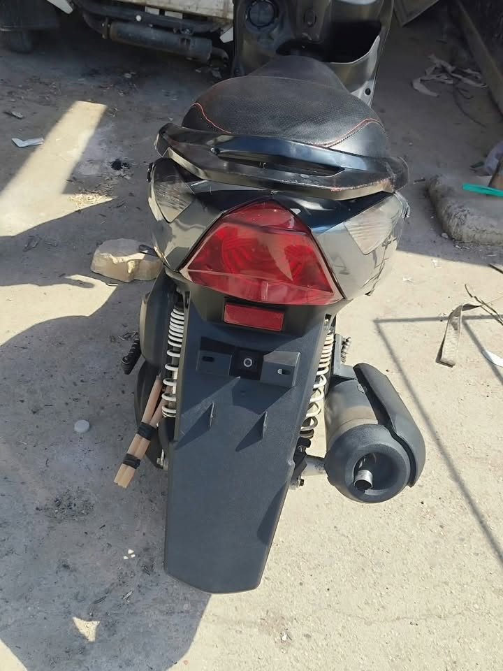 ثعلب • ٥٨ونص • قفاز