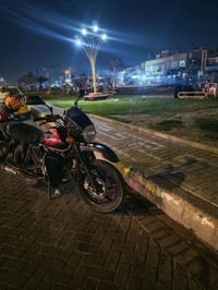 بوكسر • ٢٠٢١ • زنجيل جديد