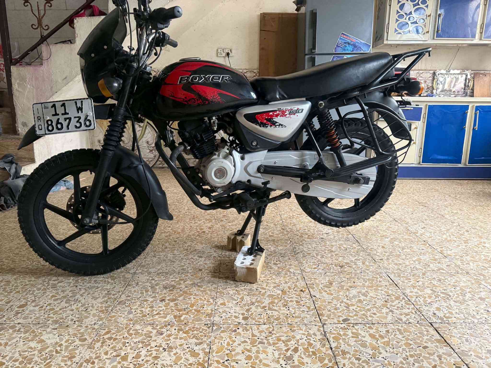 بوكسر جبلي • ٢٠٢٣ • سنويه باسمي