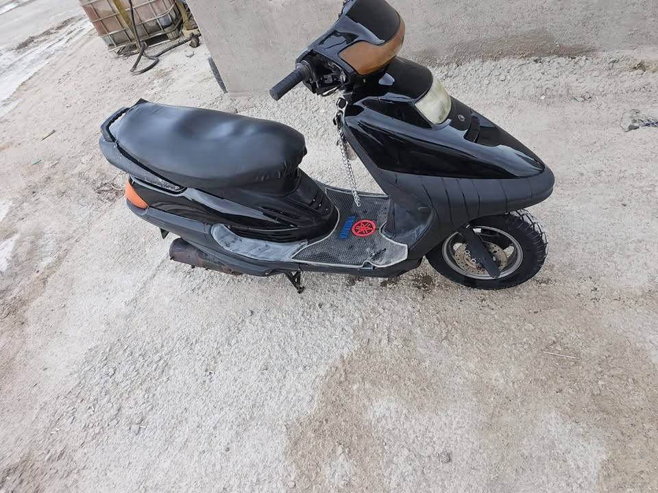 فراشة • كاملة