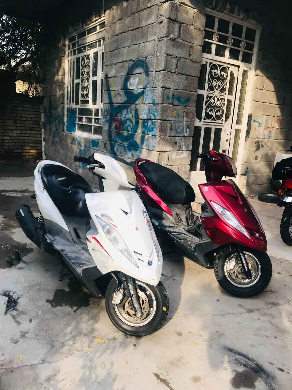 GTR • ثنين • كفالة مكينة