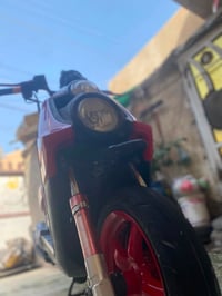 سكنس جبلي • ياباني