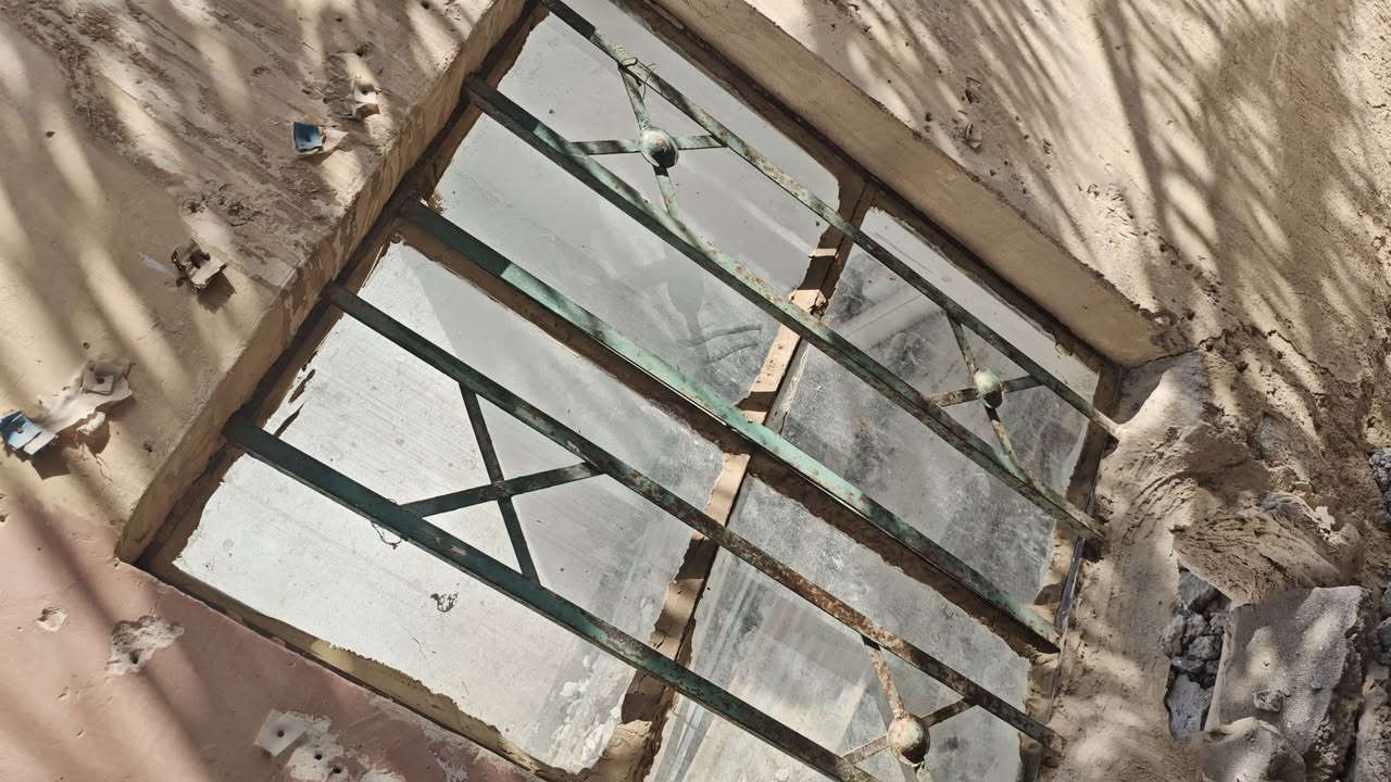 شيلمان ٥م • جينكو ٢٤ • بيبان ٤