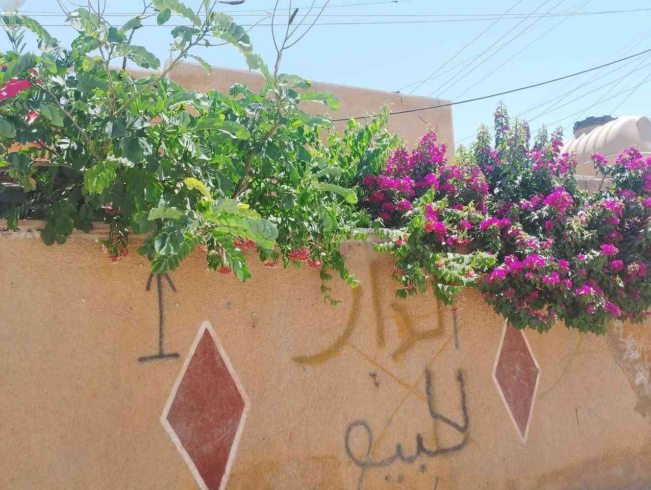 السلام عليكم ..بيت  150 ركن مطلوب قرض عقاري بناء متوسط عالي عن الشارع  طابق واحد ..باقي عالقرض 43 مليون ..اقساط 263 الف بالشهر السعر  80 مليون  وبي مجال شارع ابو سمير منطقة ال27 قرب افران البشير للأستفسار صاحب الدار ***********
