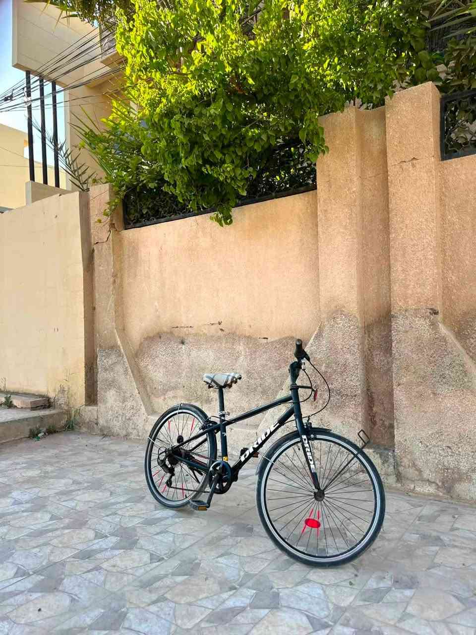 بايسكل كيمو حجم ٢٤ 🚲🚲
من شركة Dride
بايسكل حاوية اصلي 
بداله عقرب 🦂 
٦ سرعات ⚡️
السعر💲💵: 85 ألف و بيه مجال 
للاستفسار: 
 ***********
