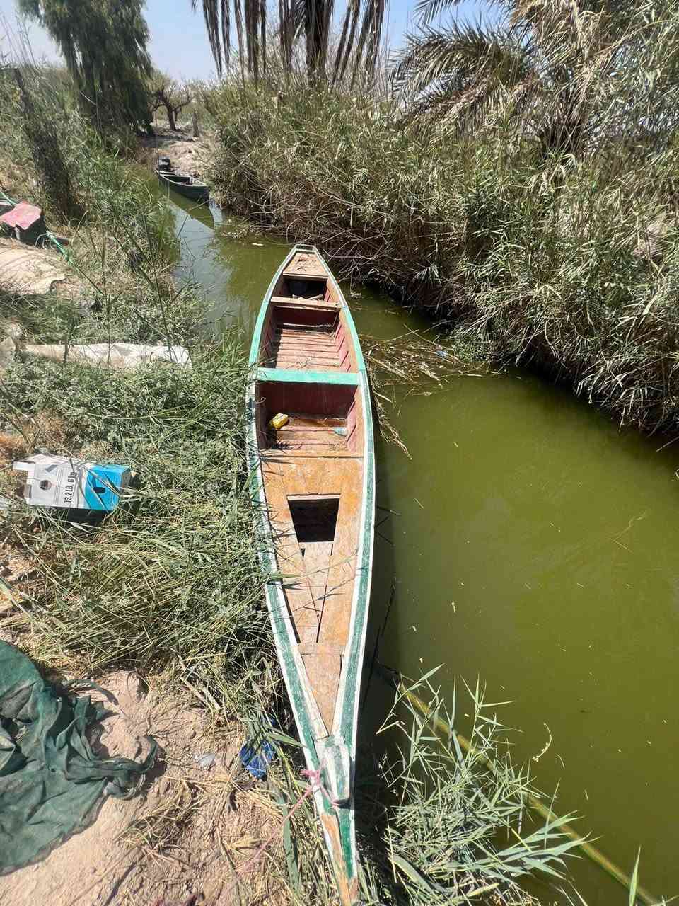 بلم للبيع الطول 14 العنوان البصره كرمه علي أنه مكلف بنشر واذ رقم راعيه ***********
