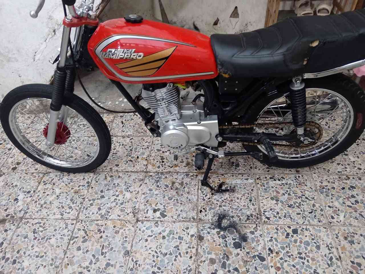 سكنر • جديد • كله بلادي