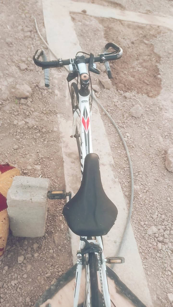 بايسكل • نضيف • بابل جسر كيش