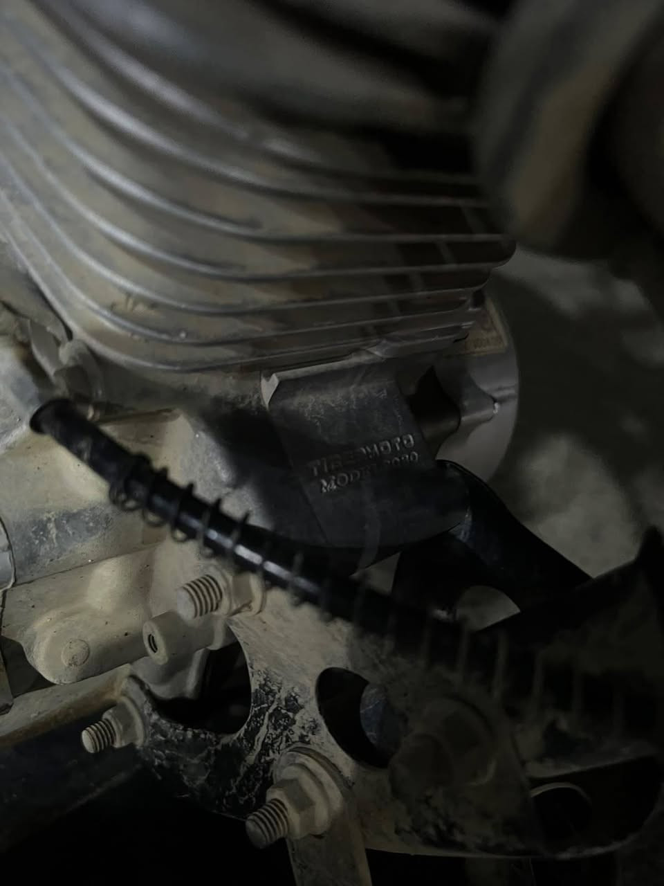 تايكر • ٢٠٢٠ • شرط