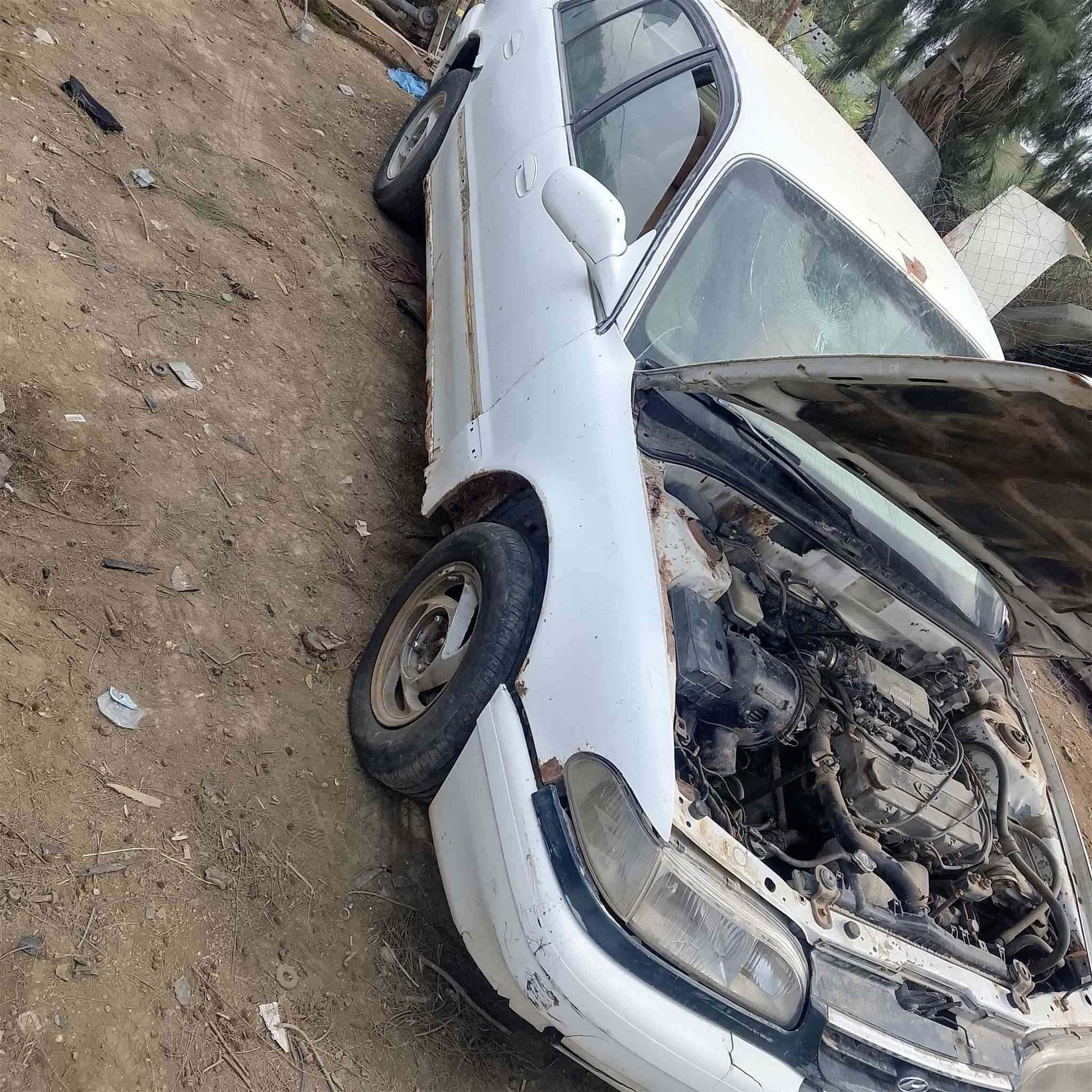 تفصيخ بابل • مشروع المسيب