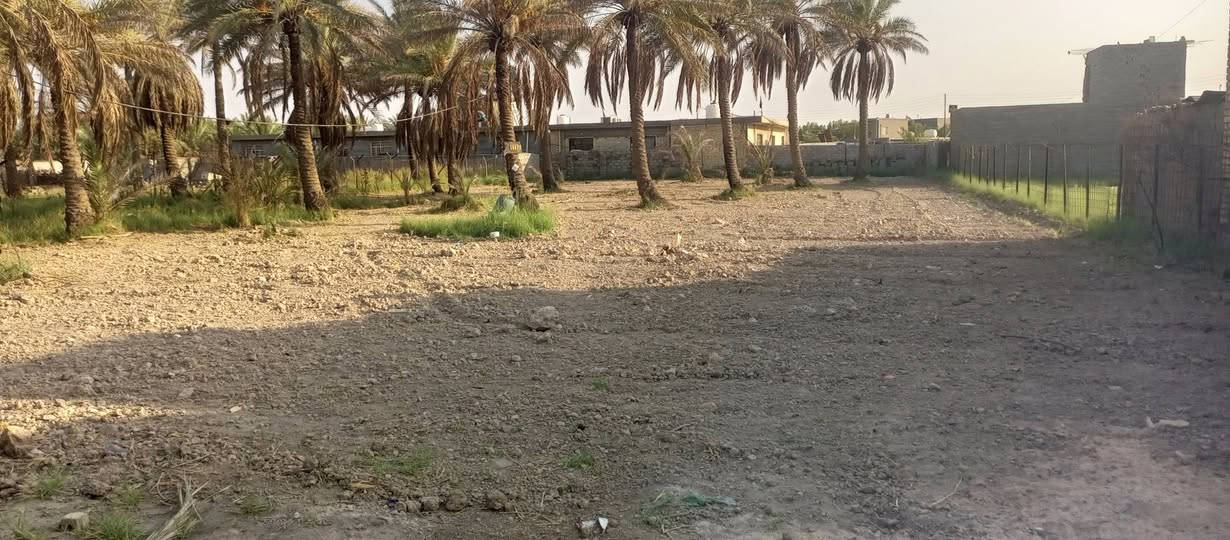 السلام عليكم 
دونم للبيع طابو زراعي ينباع نصف أو كامل 
يحتوي على حمضيات مع نخيل حمال 

لتواصل ***********
