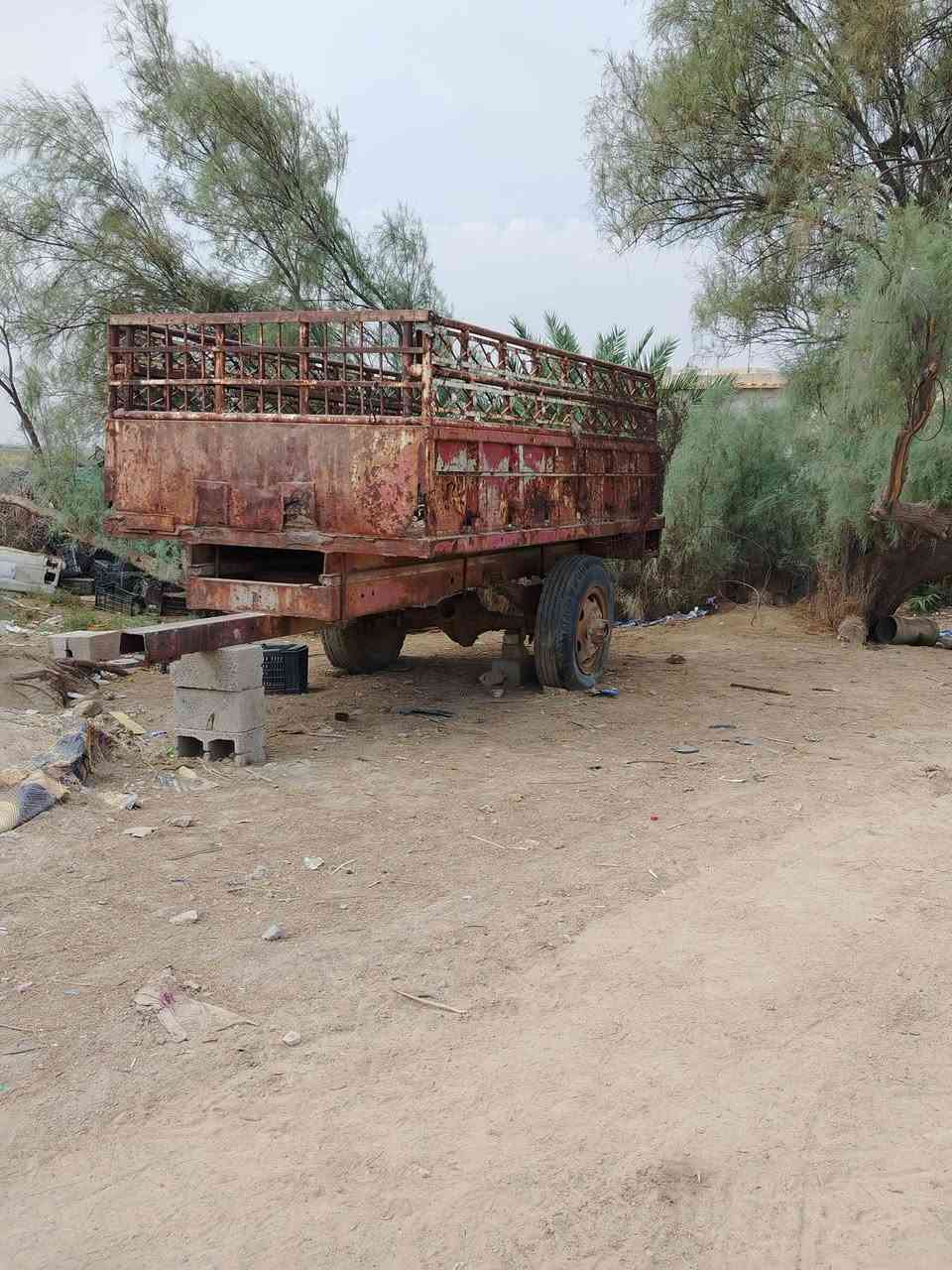 عربانه • ميسان الكحلاء