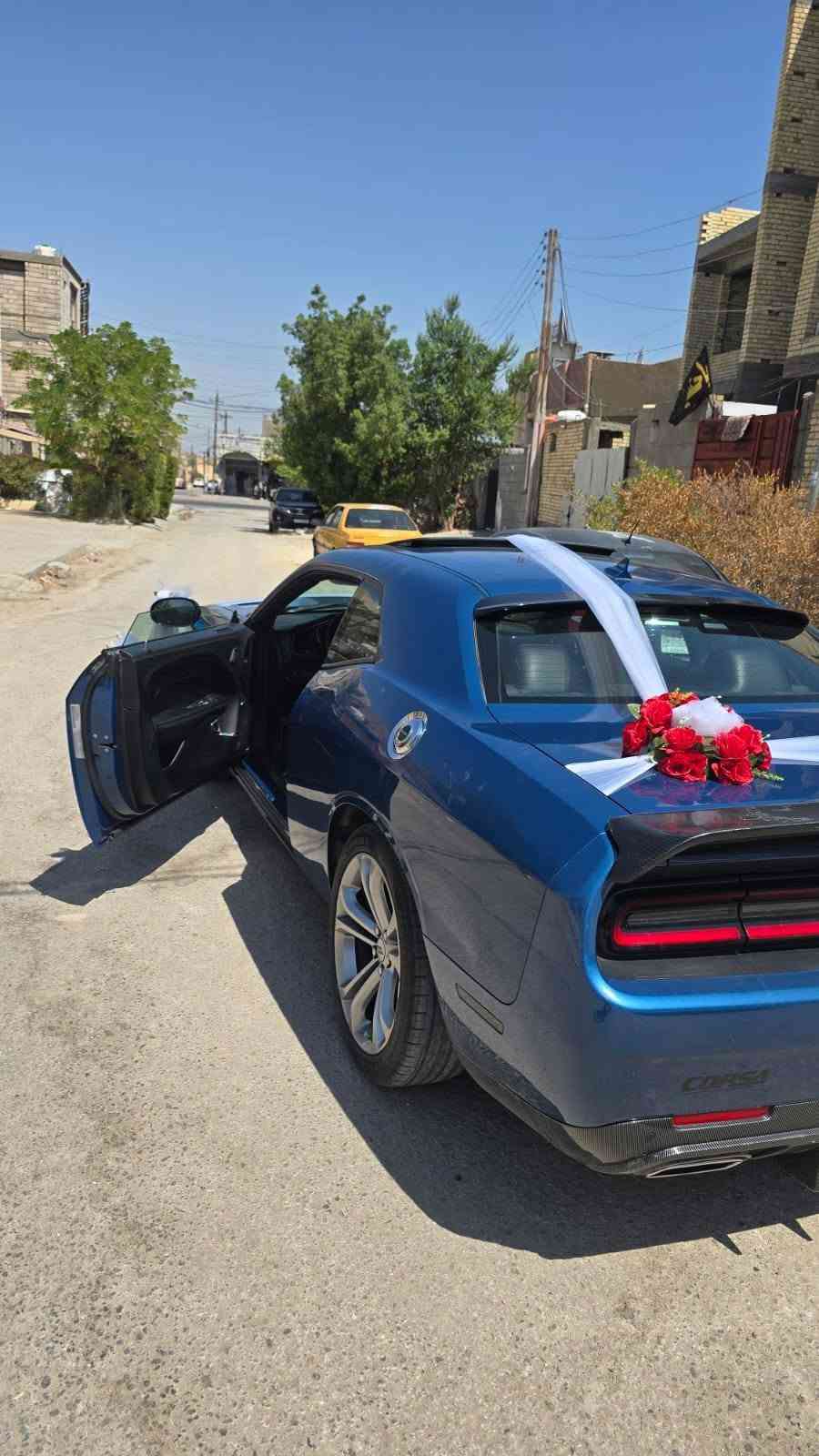 جالنجر • ٢٠٢٢ • ضربه خفيفه
