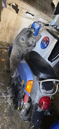 بوليسي • جديدة • ناصرية