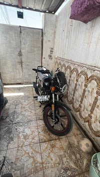 دايون • ٢٠٢٣ • جديدة