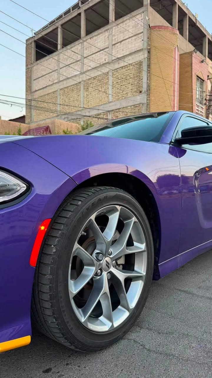 السلام عليكم
دوج تشاجر GT 2023 اصل ماشية 5 الاف
الون بنفسجي

بدون ارقام منفيس (((((((((بدون رقم)))))))))))

السيارة حادثة بجاملغ الخلفي صبغ فقط وبيه بارد شي قليل جاملغ امامي
رادار امامي
شاشة كبيرة
شنات حضن
شغيل عن بعد نظام سبورت
سستم صوت الباين
حساسات خلفية
وبعد بيه مواصفات
حديد مسار
بدون دواخل
بدون ايرباك
وحدة صبغ
ولا كلوب مشتغل بدشبول
تبريد راديترات على وضع الشركة
السيارة اخت الزيرو
جاملغ خلفي مصلح على كده ومصبوغ فقط يعني السيارة بيه قطعة

مكان السيارة :بغداد البلديات

غير متواجد على ماسنجر

السعر 240 ورقه قفل قفل 

للاستفسار: ***********

