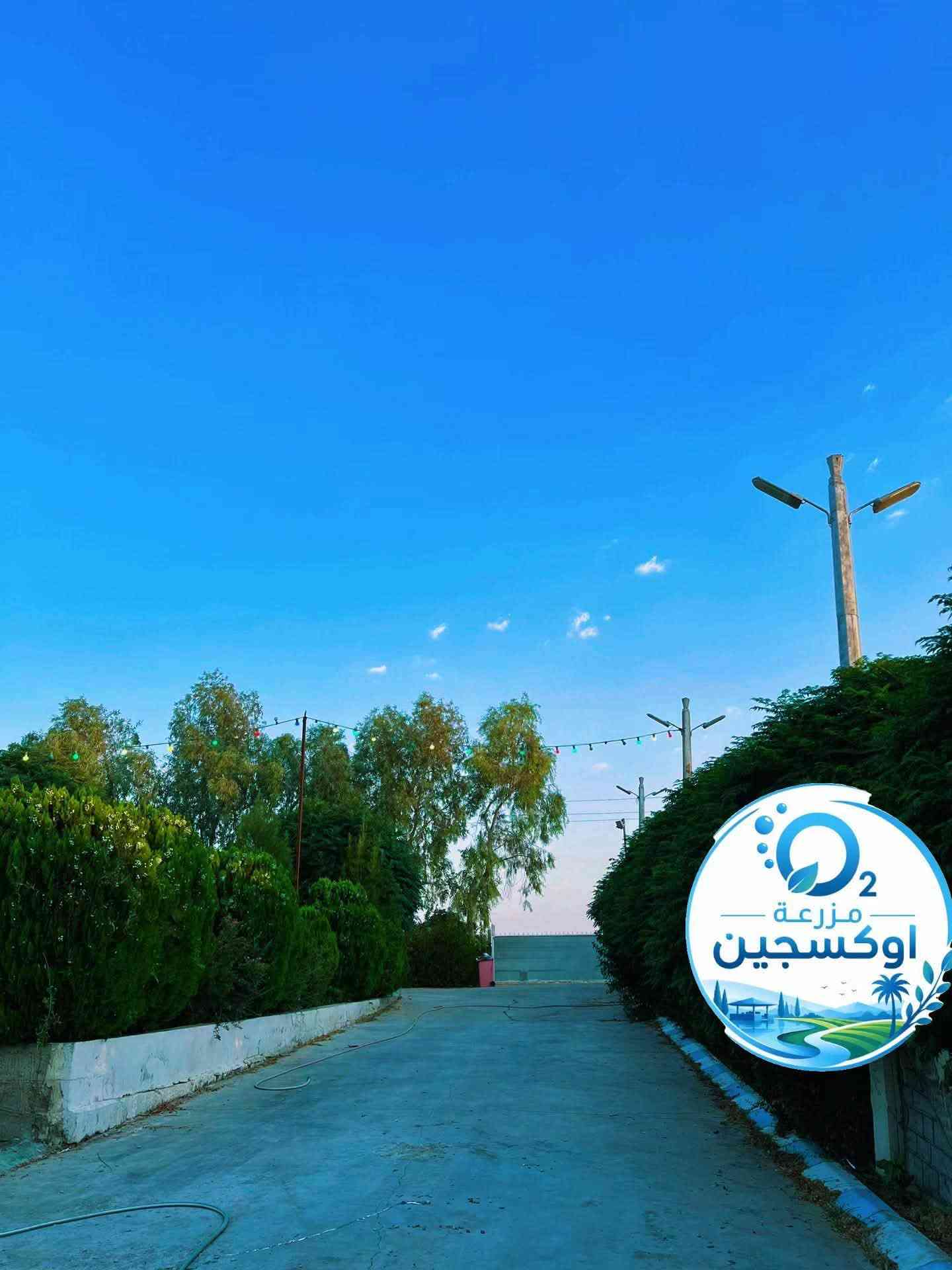 مزرعة للإيجار • ساقزلي • مسبح