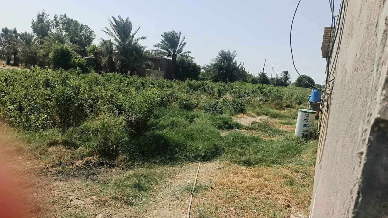 ٢٥ دونم • عقد ١١٧ • قرية الزويه