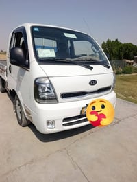 واسط • ٢٠٢٠ • مكفولة