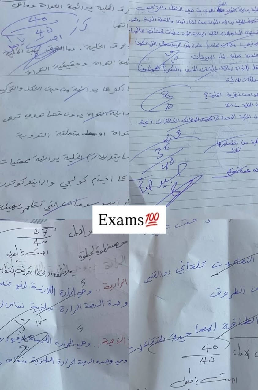 اهالي منطقة ألصابيات الكرام🌸
📚يوفر معهد ميلانا تدريس خصوصي للابتدائي والمتوسطه والاعداديه
بنظام المادة الواحدة أو الحقيبة الكاملة، وبطرق تربوية رصينة وممتعة للطفل ❤️

✨ الخدمات تشمل:
• تأسيس عربي ورياضيات
• تأسيس الأرقام والحساب
• متابعة الواجبات والمراجعة
• اهتمام ومتابعة مستمرة للطالب
• أسلوب بسيط وممتع يناسب عمر الطالب

💰 أسعار تنافسية ومناسبة

📍 العنوان: بغداد – ألصابيات قرب مجمع بوابة الكاظميه
📱 للتواصل والاستفسار واتساب فقط:  ***********

💗 للحجز والاستفسار مراسلة واتساب
