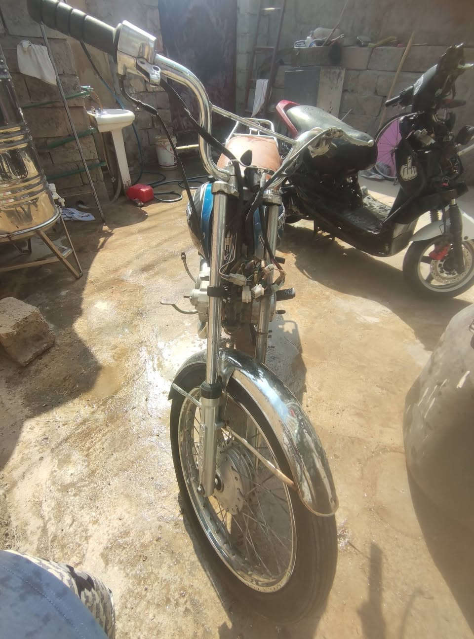 سكنس • ياباني • هندر ملحوم