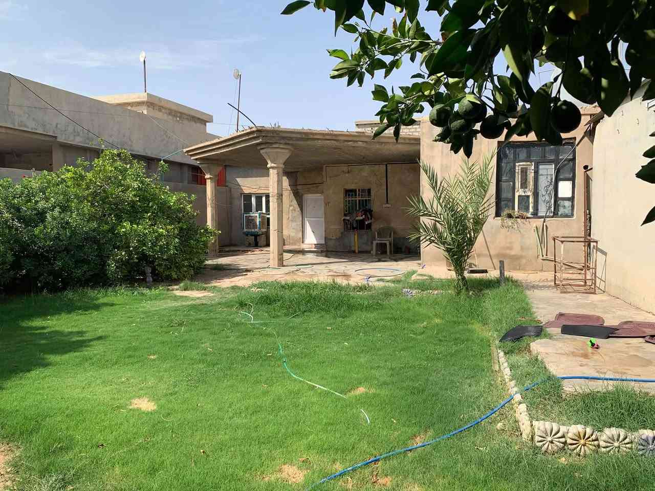 عرب الصين • ٥٠٠م • غرفتين