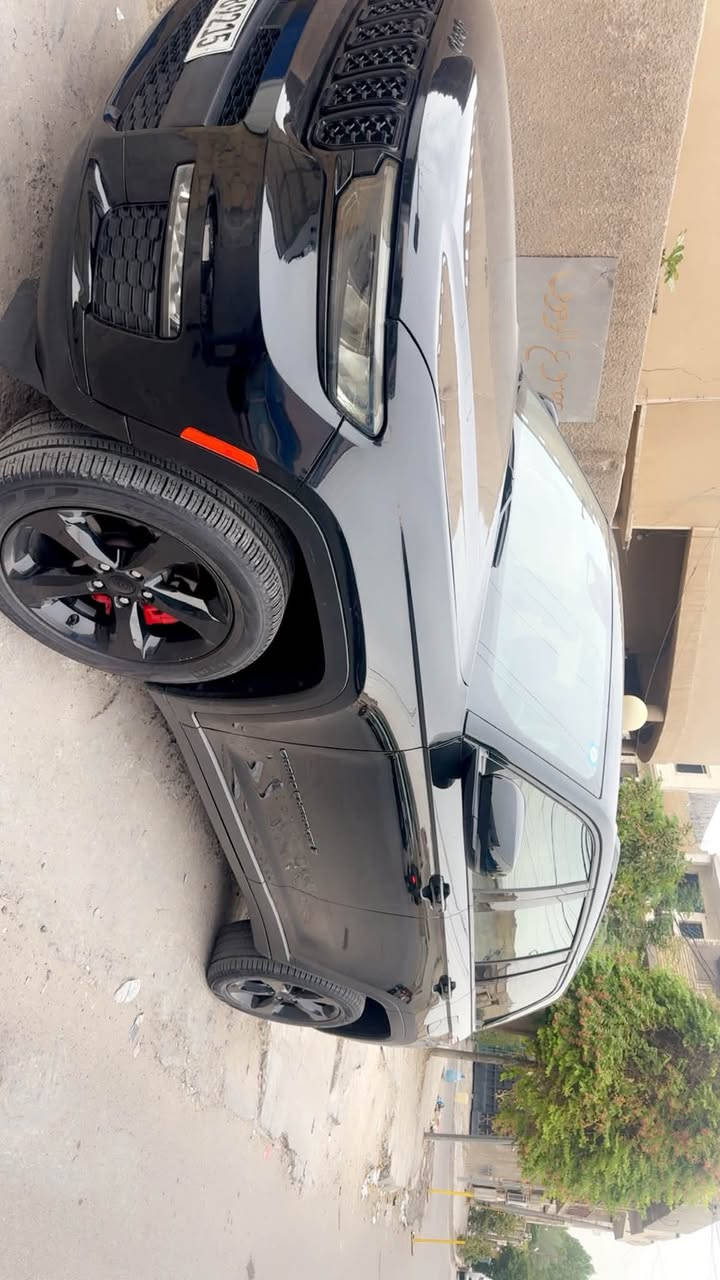 شيروكي ليمتد • ٢٠٢٣ • بغداد