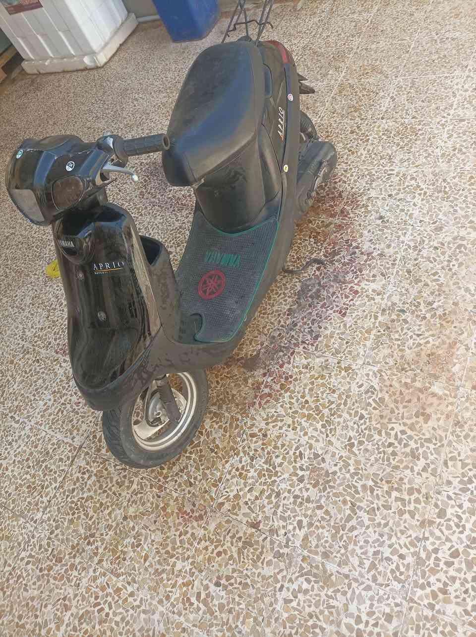السلام عليكم ماطور بوتين للبيع تحريكه معدل نار وايرمنيه كلو شغال تواير جدد شرط مامفتوح سعرو 300 الف وبي مجال شراي خابر 
***********
***********
