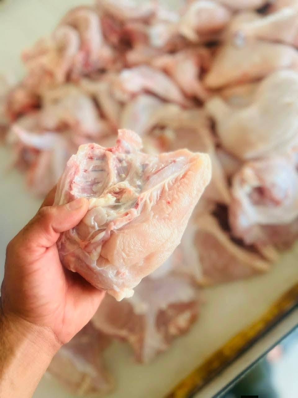 مجزرة النعمانيه • دجاج حي • دجاج مقطع