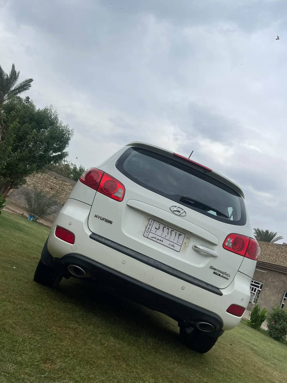 سنتافي • ٢٠٠٩ • سبع راكب