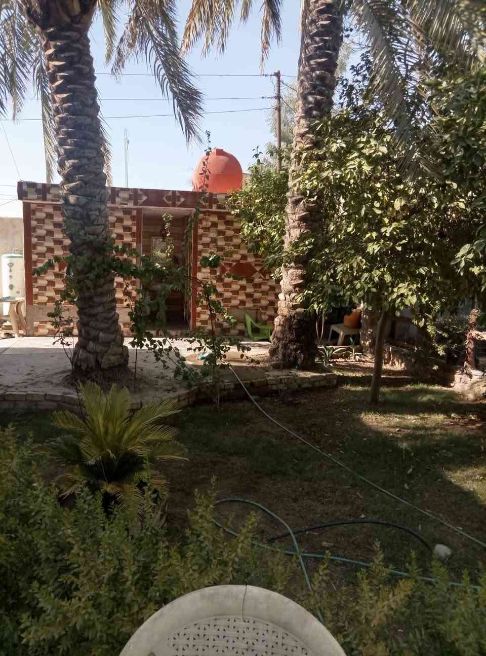 بيت ٤٠٠م٢ • طهمازيه بدايه الباشليه • غرفتين