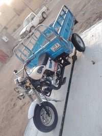 ستوته • مديل ١٥ • رقم وسنويه