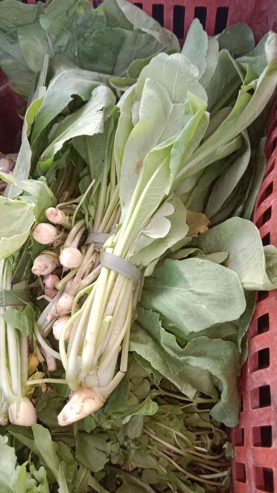 سبيناغ بغداد • فجل أحمر • توصيل