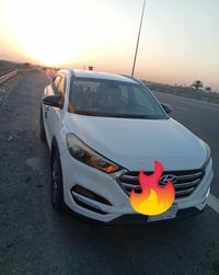توسان خليجي • ٢٠١٨ • ٣ قطع صبغ