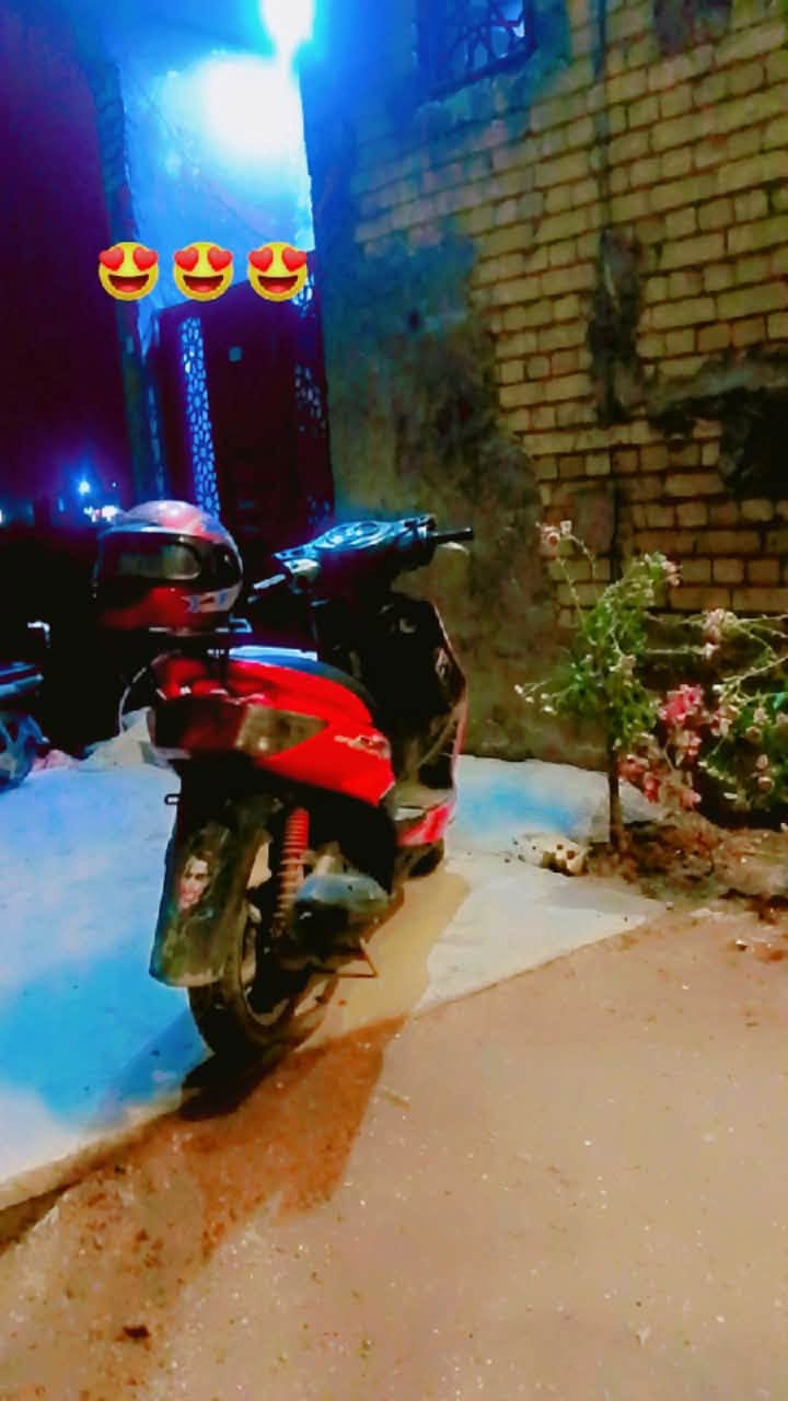 سكنس فحل • مكملة • سلف