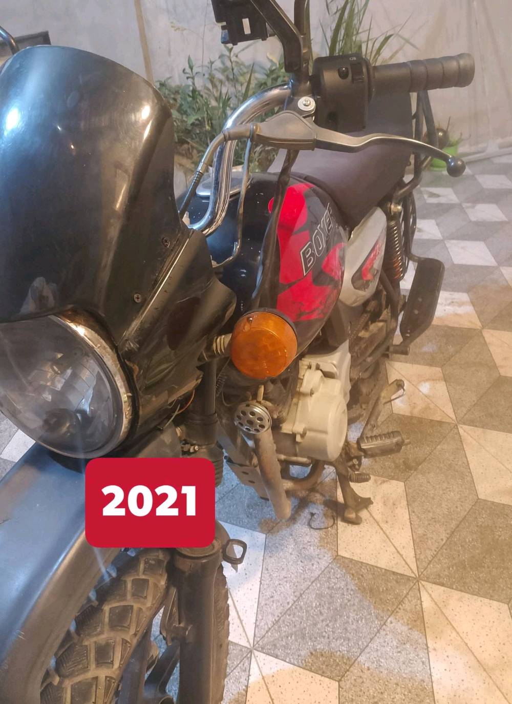 بوكسر • جبلي • ٢٠٢١