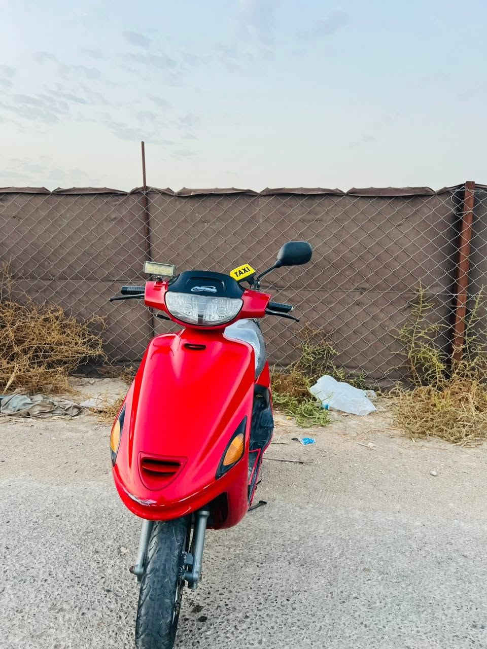 فراشه • فحل • نضيفة