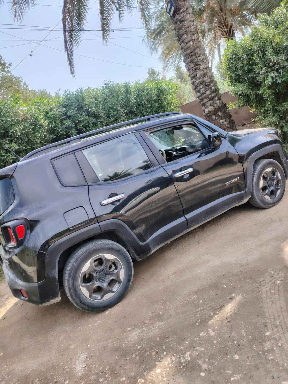 رنكيد • ٢٠١٦ • بابل المسيب
