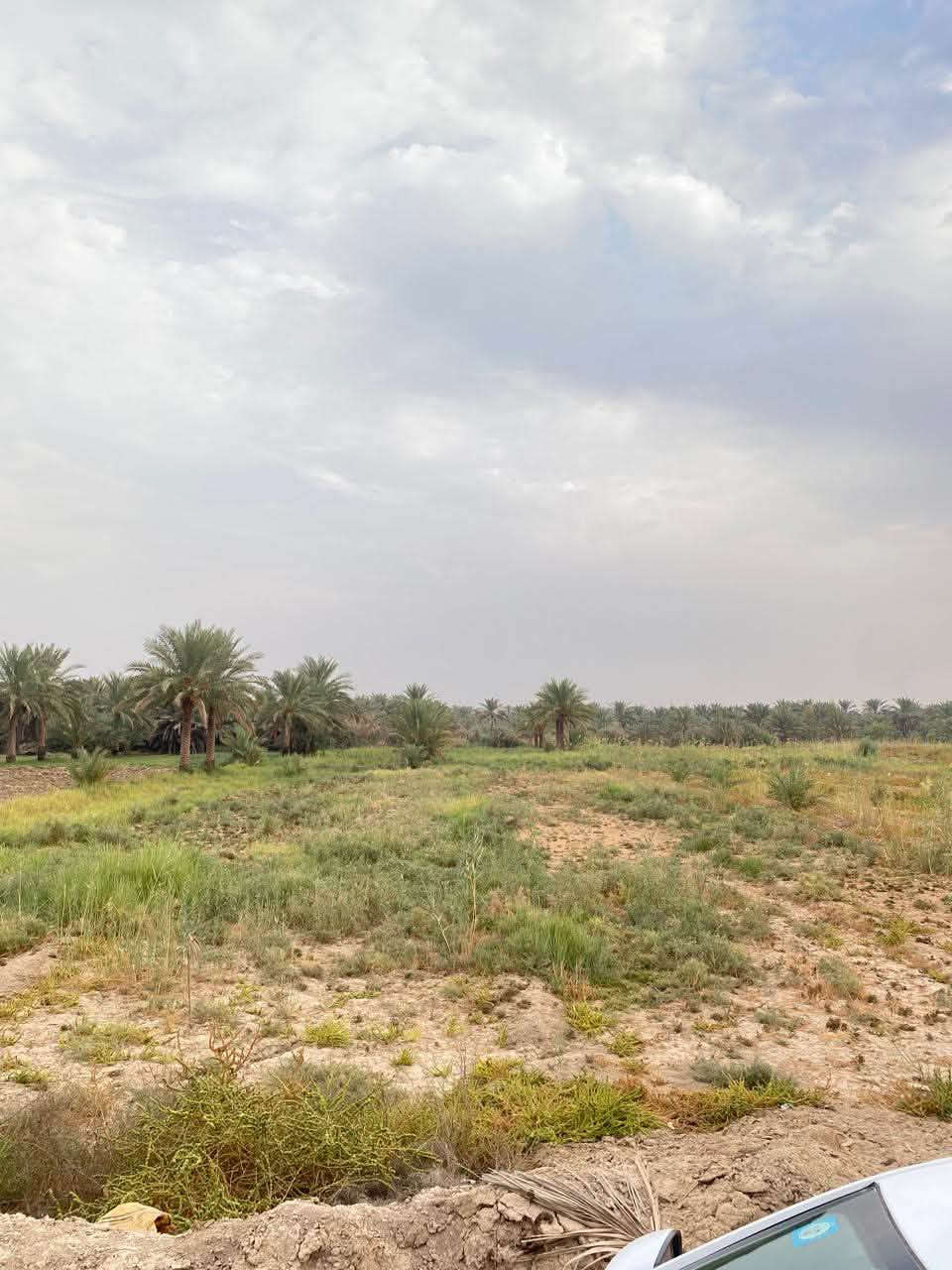 ٢ دونم • واجهة ٤٢م • طابو سند