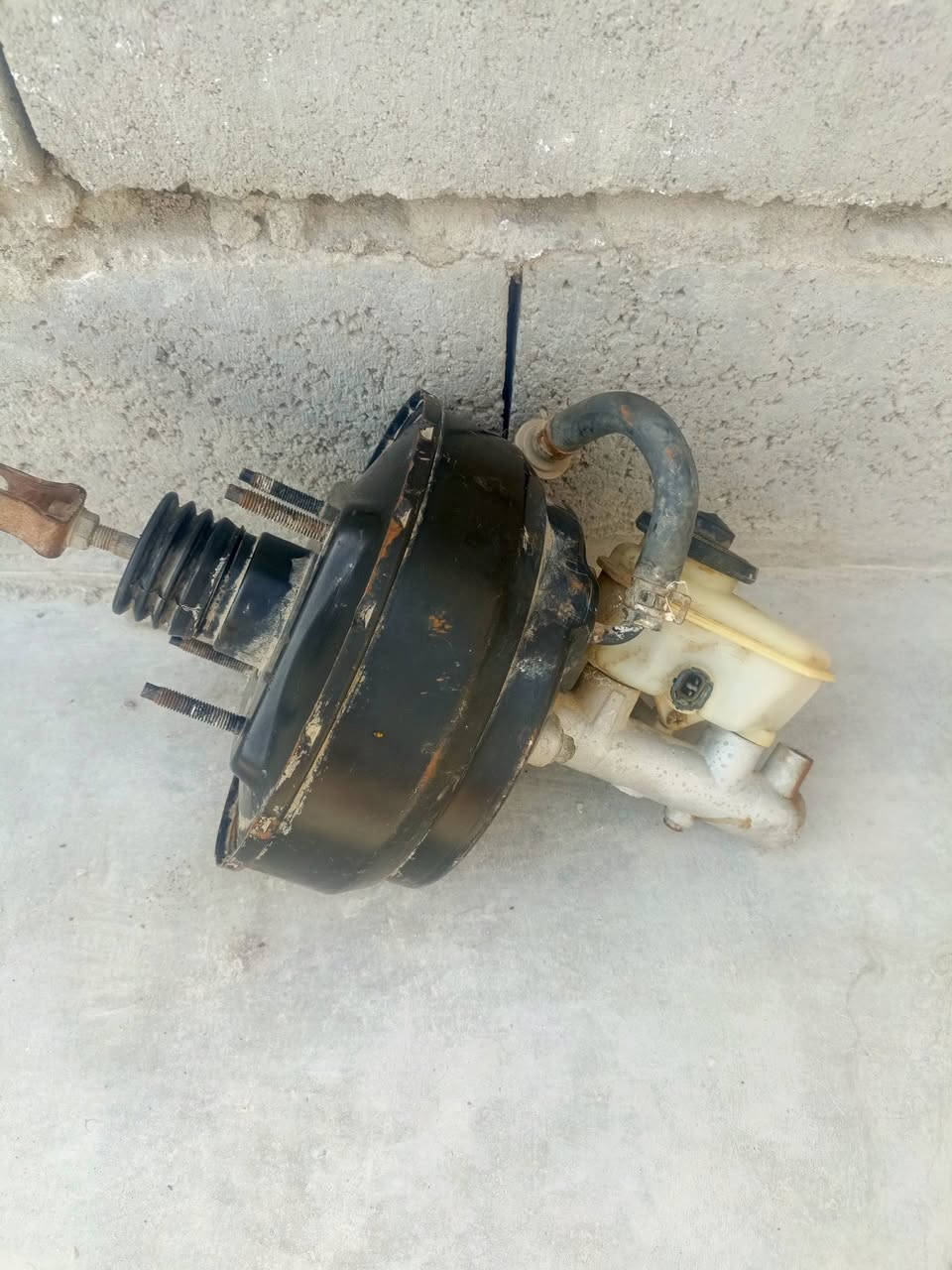 محور • كرستا مارك • الزبير