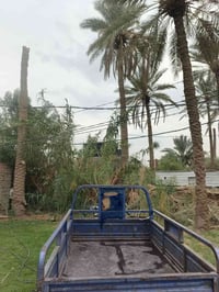 موديل ١٤ • شاصي اصلي • سنوية