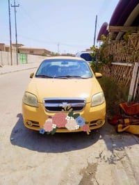 أفيو ٢٠١١ • باسمي • شرط مداور