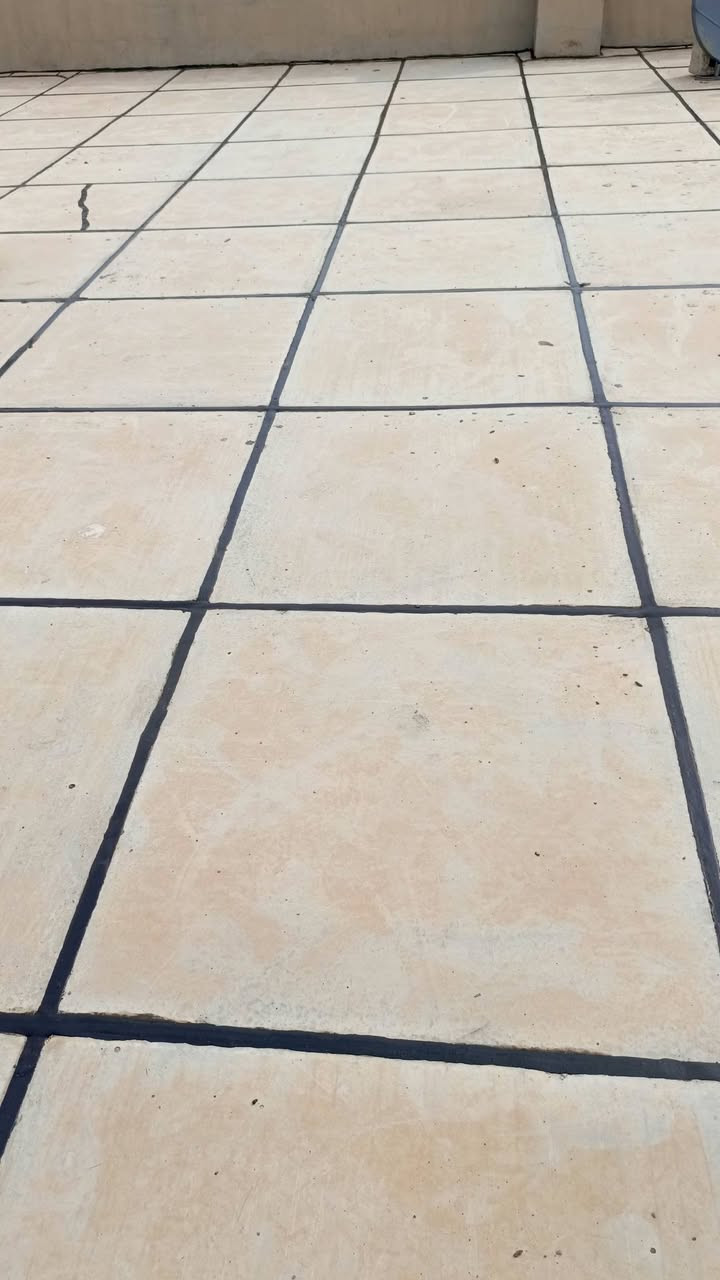شتايگر • قلع • ماستك