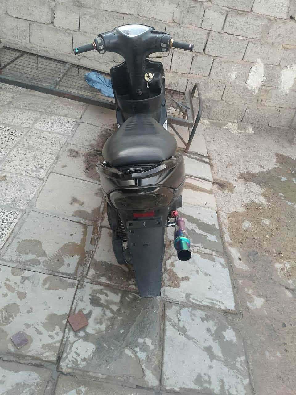 ماكس • ٥٥ • زنون