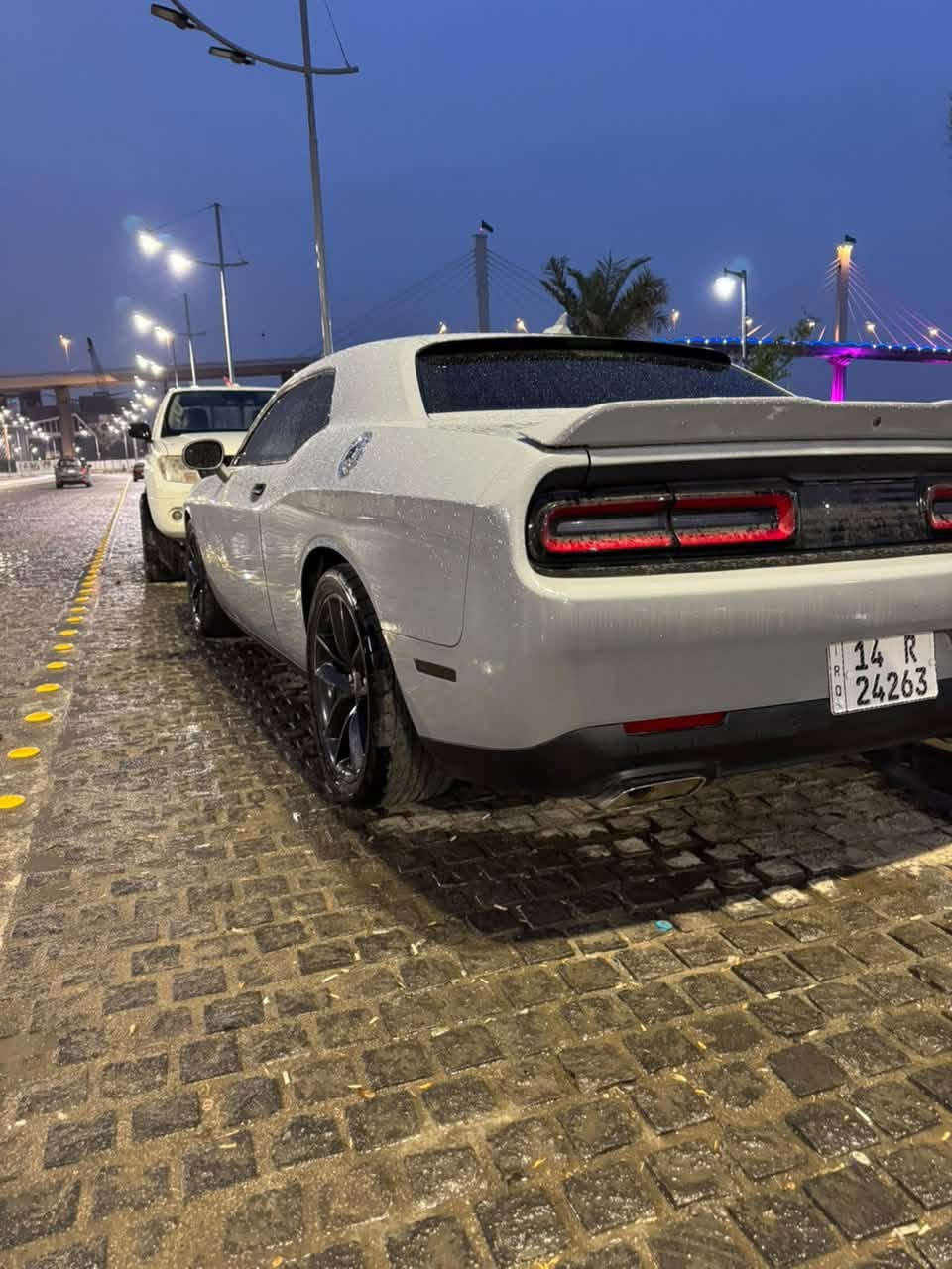 جالنجر • ٢٠٢٢ • وارد كندي