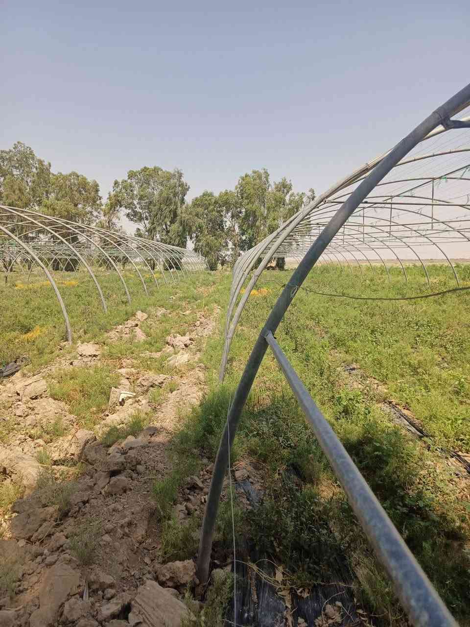 بيوت بلاستكيه لبيع الاردني قديم عدد 4 مع منضومة ماء سعر اتصال ع رقم***********
