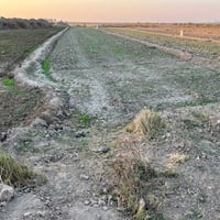١٧ دونم • طابو زراعي سند ٢٥ • الصويره بدعة حمد