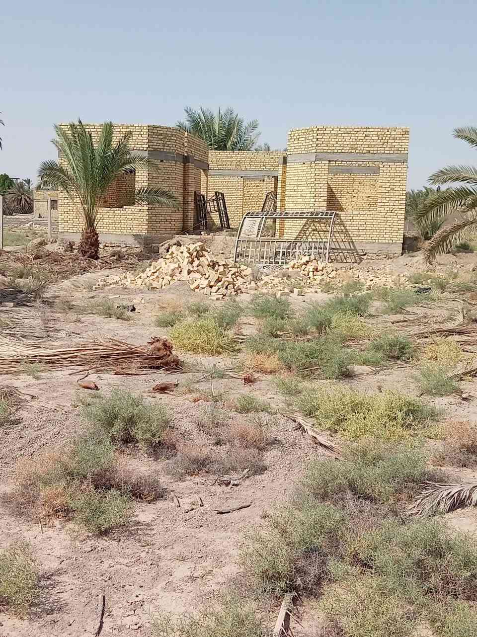 ناحية المجد • ٣ دونم • ٧٠ نخلة