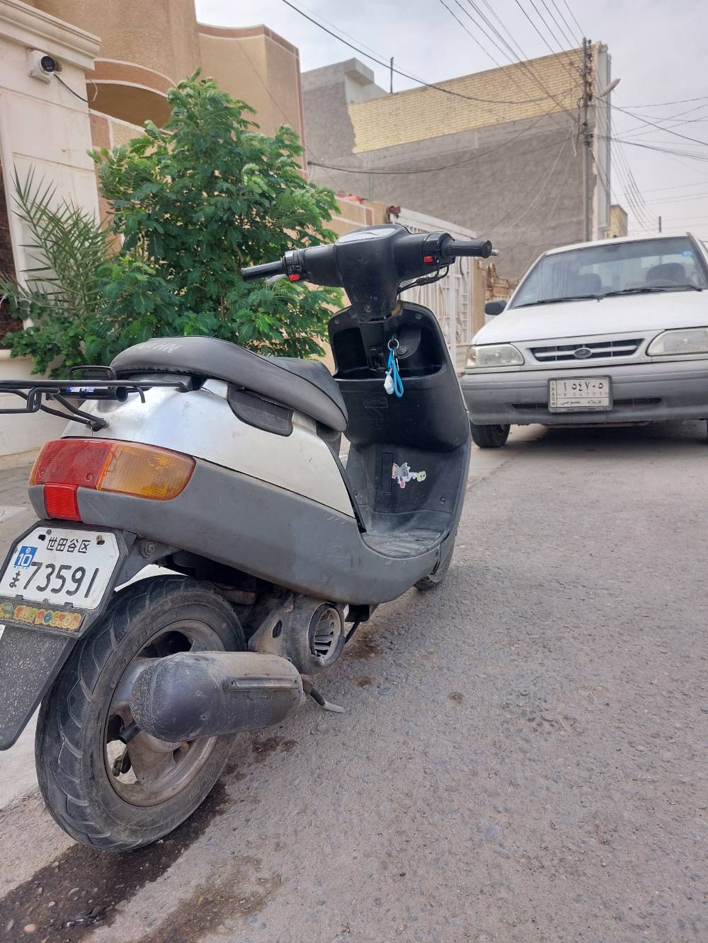 بطه • كامله • اغلبها جديد